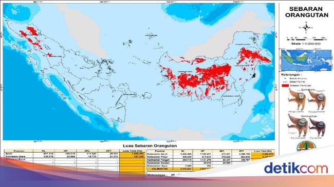 12 Contoh Peta Tematik dan Penjelasannya