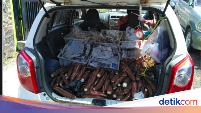 Harga Mobil Modifikasi Untuk Jualan - BLOG OTOMOTIF KEREN