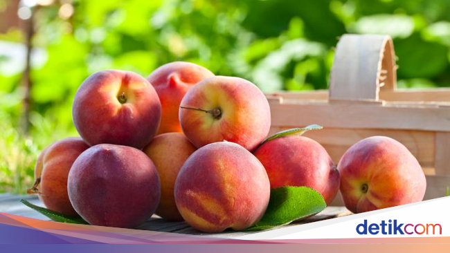 Logo Buah  Peach  Jadi Penanda Tempat Makanan Halal di Okayama