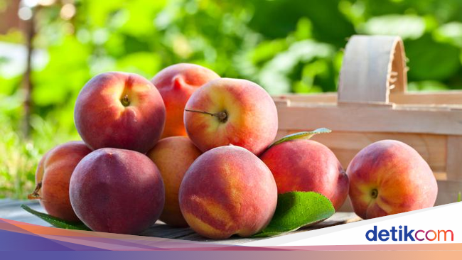 Logo Buah Peach Jadi Penanda Tempat Makanan Halal di Okayama Logo Buah Peach Jadi Penanda Tempat Makanan Halal di Okayama
