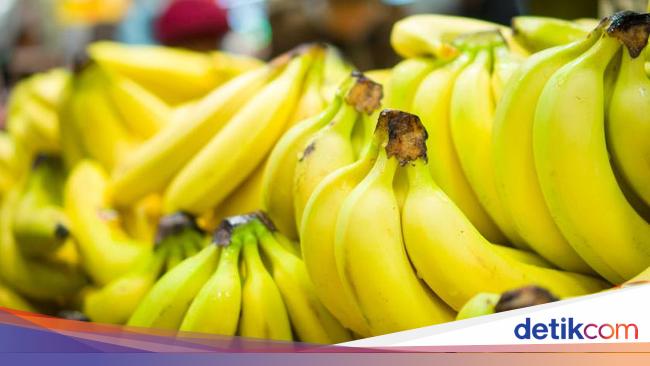 Jelajahi 33 Jenis Pisang di Indonesia: Ciri Khas dan Manfaatnya untuk Kesehatan