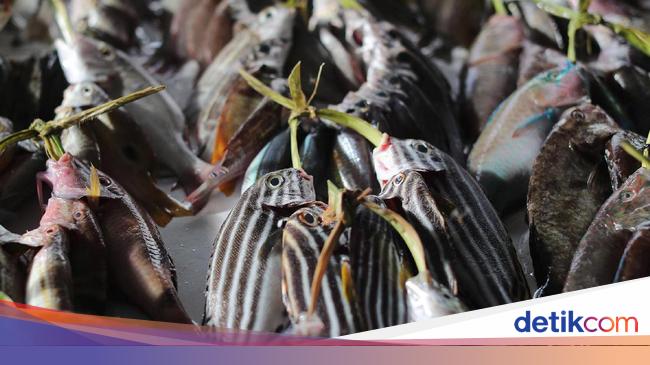 harga ikan 2017 malaysia