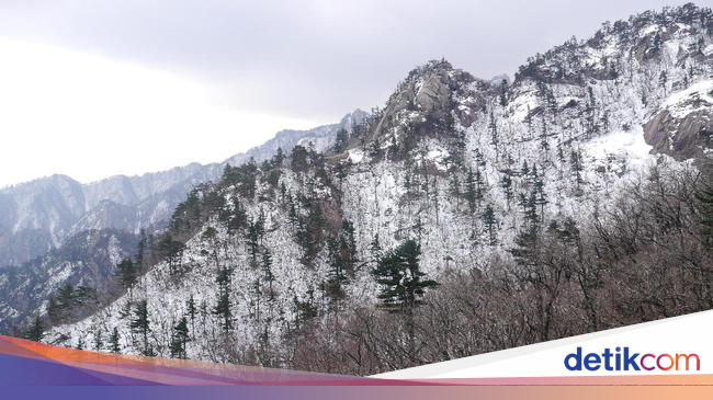 Terbaru 20+ Baju Traveling Ke Gunung