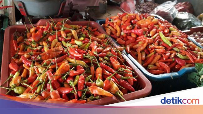 80 Gambar Lucu Cabe Mahal Terlihat Keren 80 Gambar Lucu Cabe Mahal Terlihat Keren