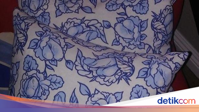 Sarung Bantal  Ini Jadi Viral karena Motifnya Berbentuk 