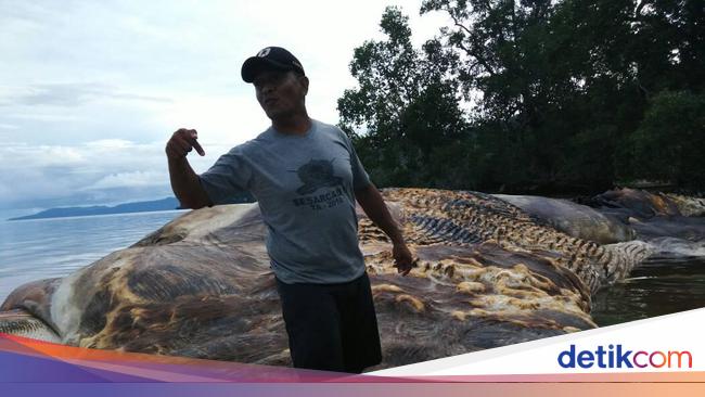 Pulau Muna Sepotong Keindahan Di Sulawesi Tenggara Pesona