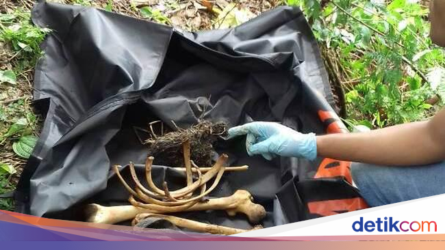 Penemuan Kerangka Manusia Gegerkan Warga Aceh Tamiang