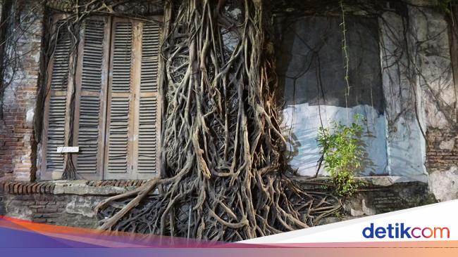 Rumah Akar Spot Instagenic Di Semarang