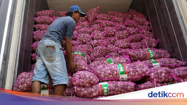 Petani Ogah Tanam Bawang Putih Kenapa Petani Ogah Tanam Bawang Putih Kenapa