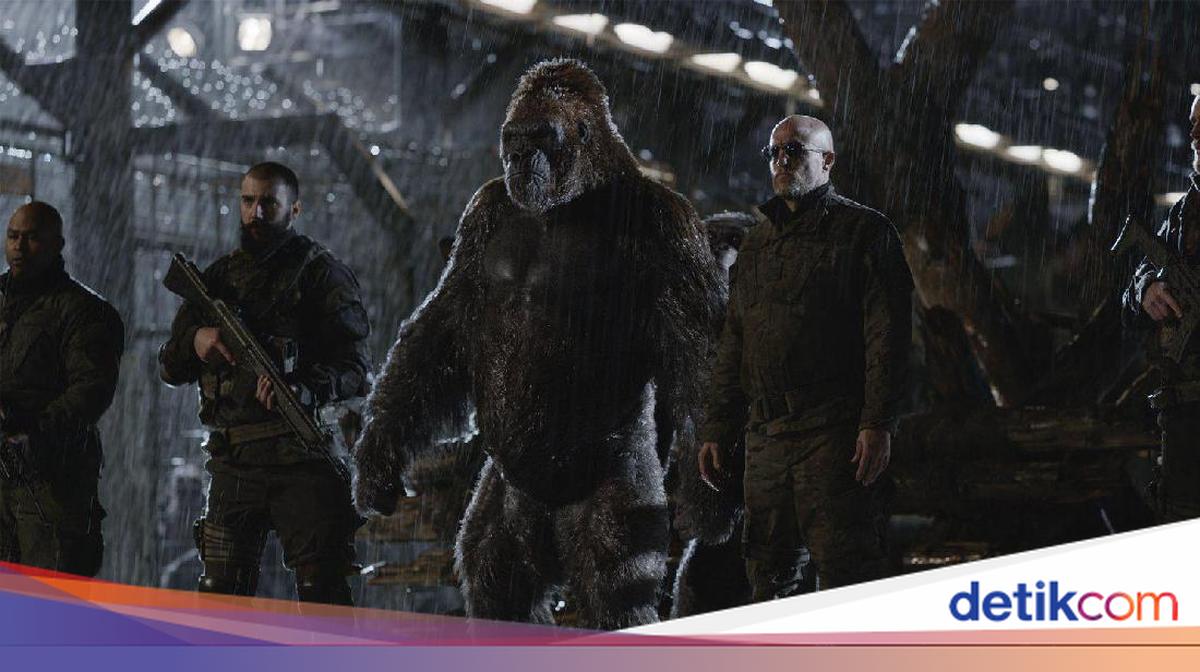 Contoh Representasi Memahami Pengertian Representasi dan Contohnya