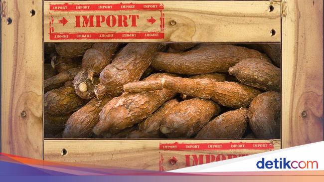 Impor Singkong -Tapioka Mau Dipajaki Agar Petani Tak Merana
