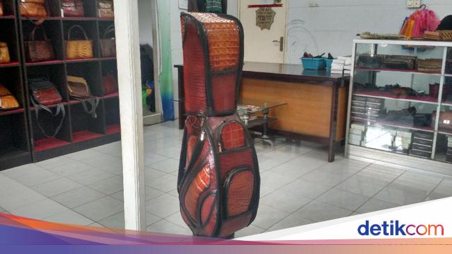 Kulit Buaya Merauke dari Harga Puluhan Ribu hingga 