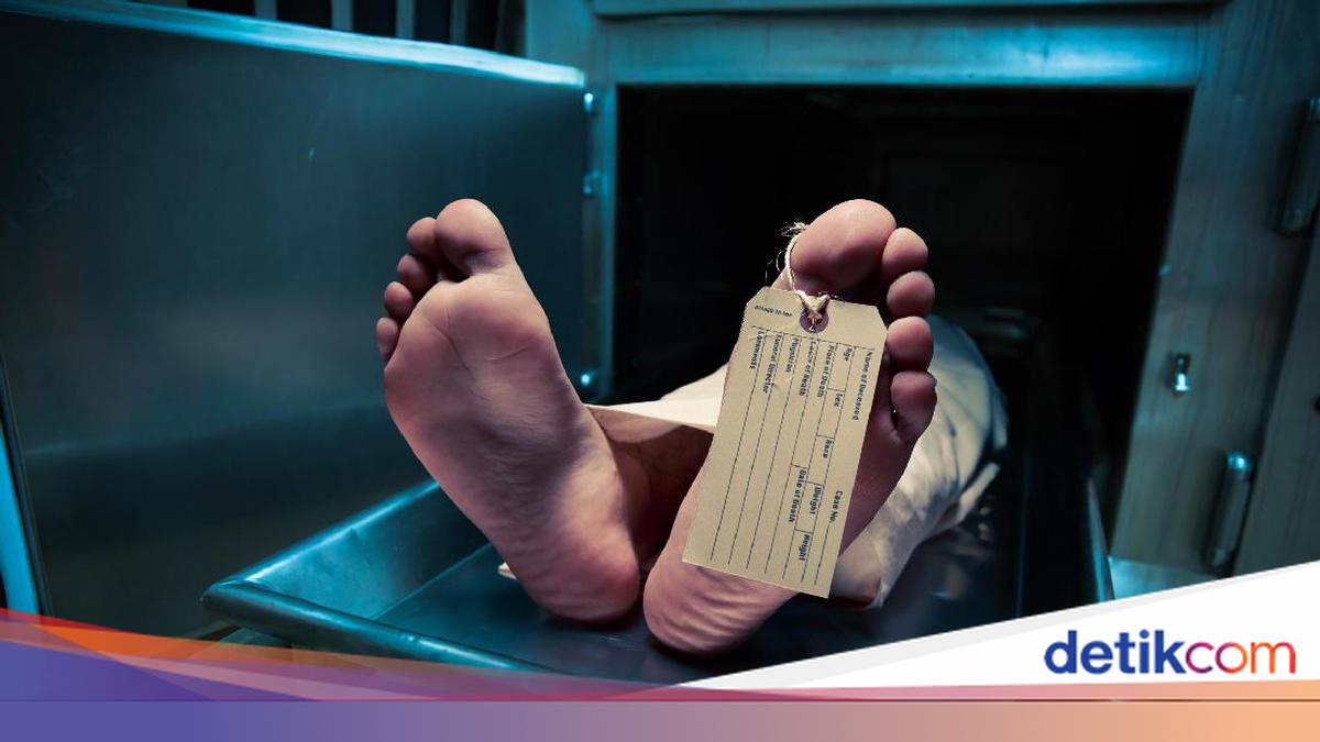 Ngeri, WNI Peserta Magang Tewas Terjepit Mesin Mixer Pabrik di Jepang