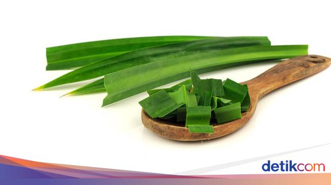 6 Manfaat Daun Pandan untuk Kesehatan yang Jarang Diketahui 6 Manfaat Daun Pandan untuk Kesehatan yang Jarang Diketahui