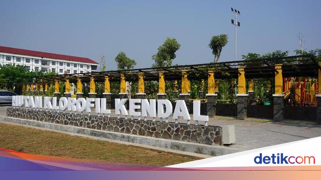 Mudik Ke Kendal Kamu Bisa Lihat Tanaman Langka