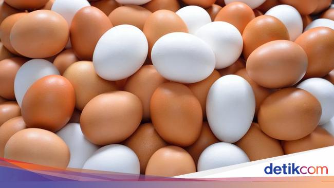 Kenapa Telur Ayam Ada Yang Warnanya Cokelat Dan Putih