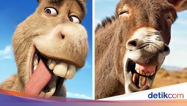  Lucu  Karakter Animasi vs Hewan  Asli di  Dunia  Nyata