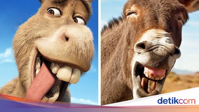 Lucu Karakter Animasi vs Hewan Asli di Dunia Nyata Lucu Karakter Animasi vs Hewan Asli di Dunia Nyata