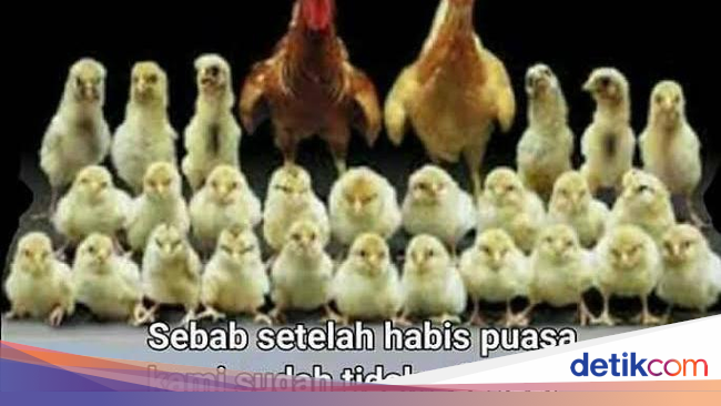 Meme Lucu Curhatan Saat Lebaran