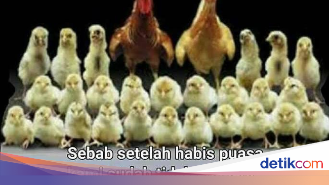 Meme Lucu Curhatan Saat Lebaran