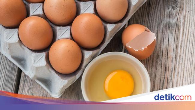 Unduh 770 Gambar Animasi Ayam Petelur  Gratis Gambar Animasi 