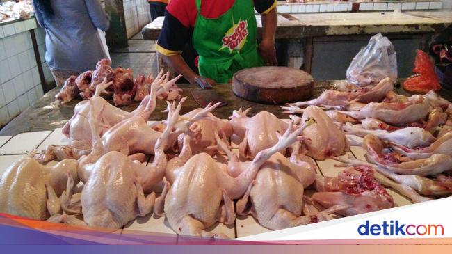 Ini Sebabnya Harga Ayam Naik Terus Selama Bulan Puasa