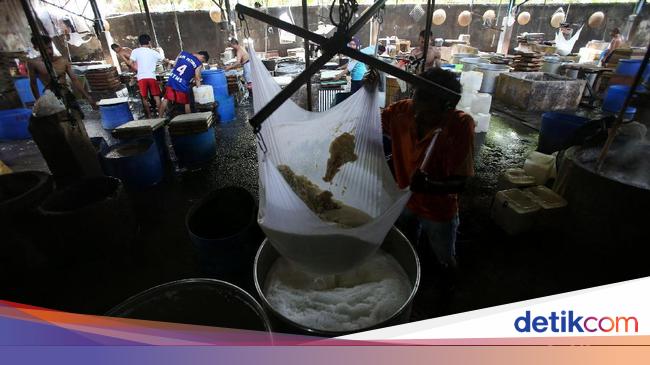 Begini Proses Pembuatan Tahu