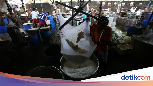 Begini Proses Pembuatan Tahu