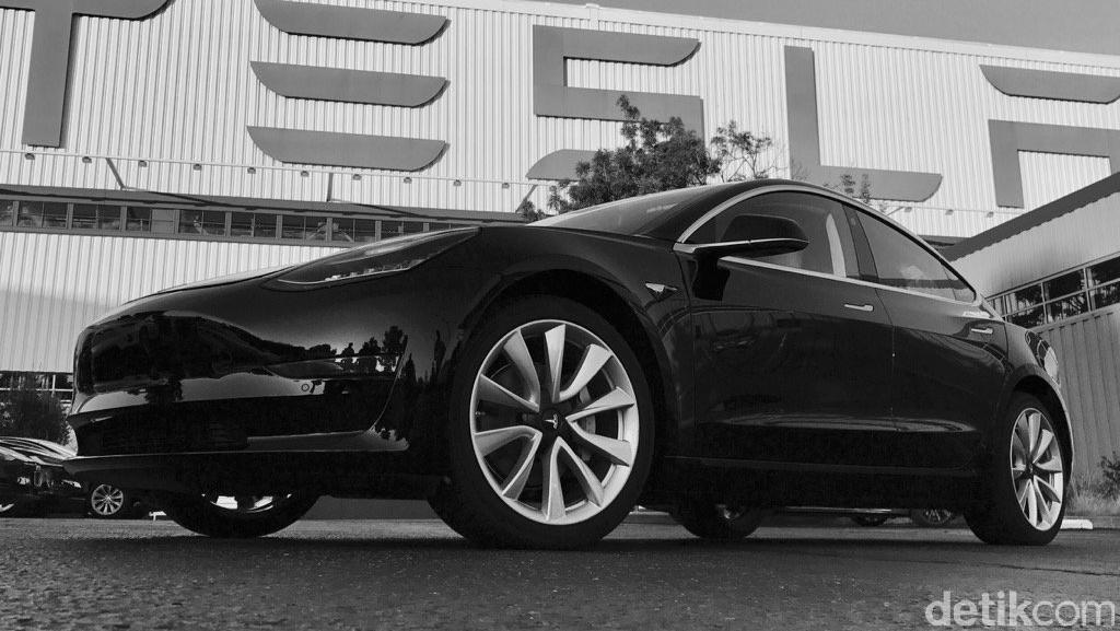 Terungkap Alasan Utama Tesla Ogah Bangun Pabrik Mobil Listrik Di RI