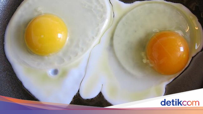 Ternyata Hal Satu Ini yang Menyebabkan Warna Kuning Telur 