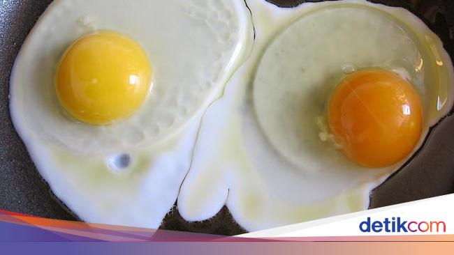 Hukum Makan Telur Yang Berdarah Bincang Syariah