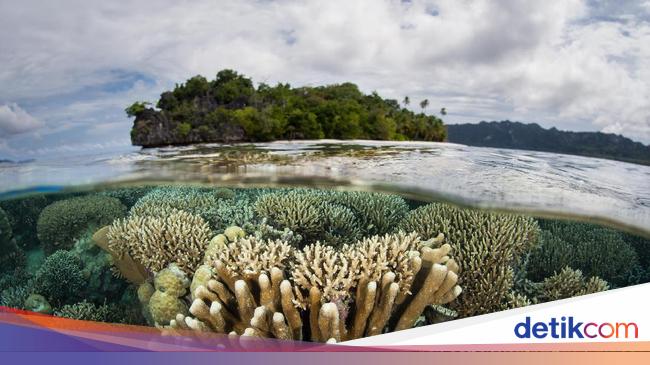 10 Destinasi Wisata Terbaik Dunia 2025 Versi Natgeo, Indonesia Masuk