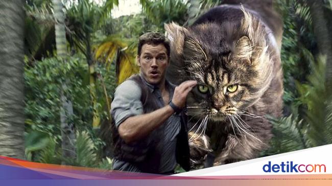 Ketika Kucing Gantikan Dinosaurus Di Jurassic Park Foto 11