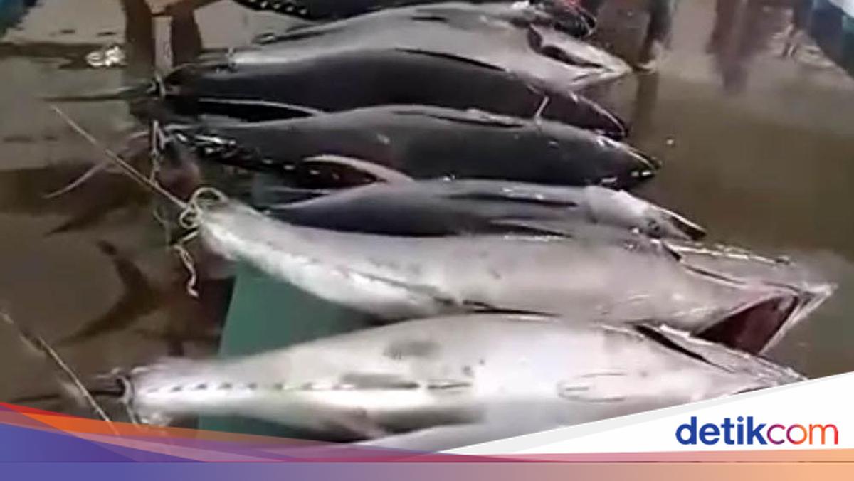 AS Ternyata Doyan Tuna hingga Udang RI, Ini Buktinya