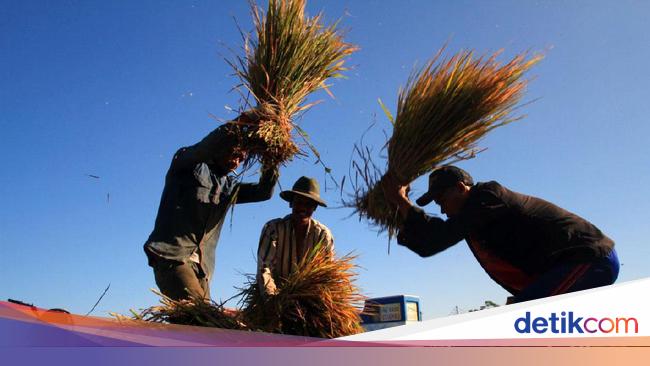 latar belakang kegiatan pertanian tradisional di malaysia