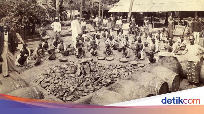 Mengenal Arti Perubahan Sosial Budaya Dan Bentuknya