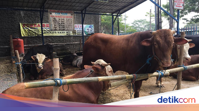 Idul Adha Tgl Berapa Ya - Ketisyer