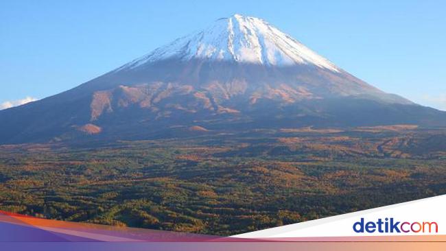Foto: Hutan Bunuh Diri di Jepang