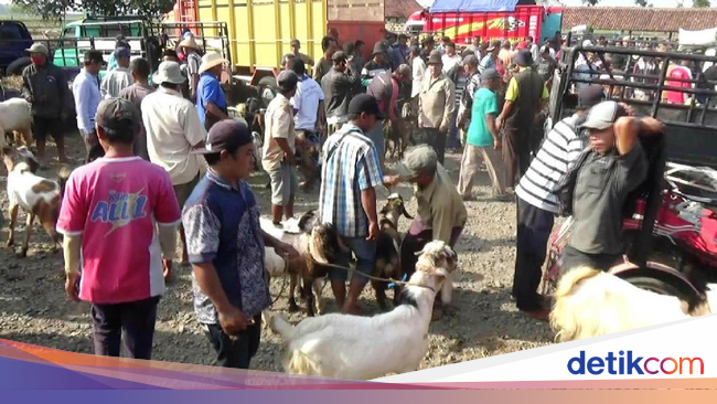 Jelang Idul Adha, Harga Hewan Kurban di Purworejo Naik