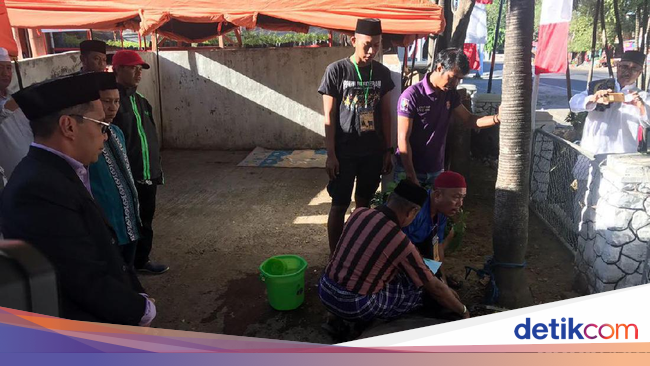 Pemkot Makassar Temukan 1.000 Sapi Tidak Laik untuk Kurban