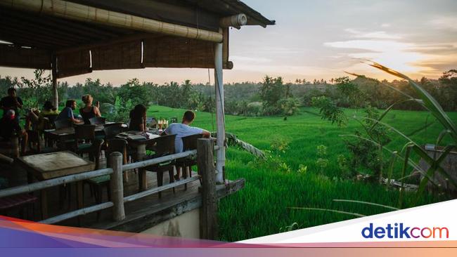 7 Restoran dengan Pemandangan Sawah yang Indah Ini Wajib 