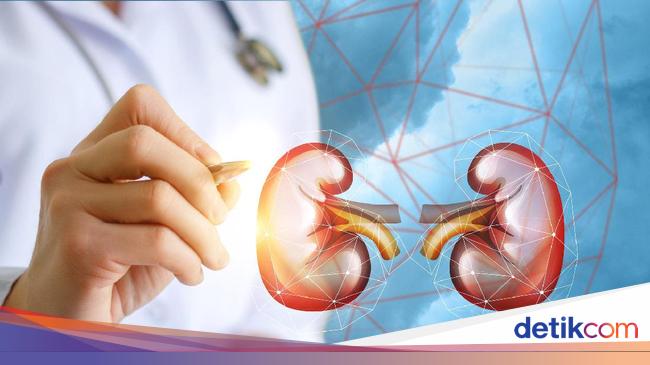 Symptoms and Causes of Kidney Pain You Need to Know