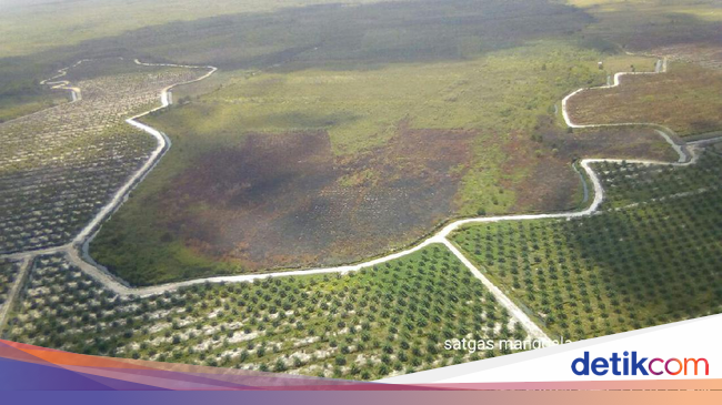 Hotspot di Kalimantan Barat Terpantau Meningkat