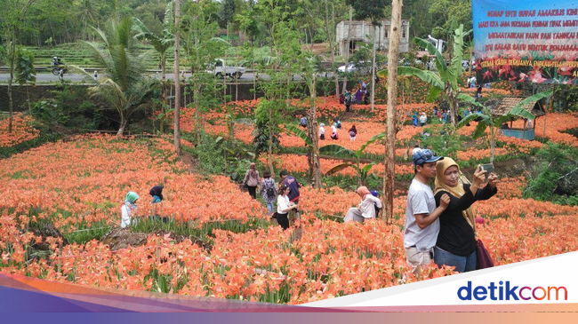 4 Taman Bunga di Yogya dan Semarang yang Mirip di Luar Negeri