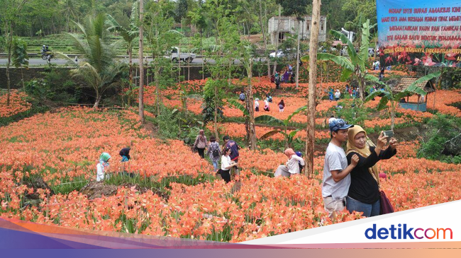 4 Taman Bunga  di Yogya dan Semarang yang Mirip di Luar  Negeri 