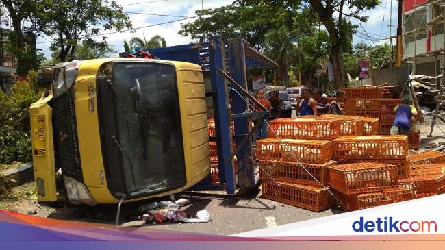 Truk Pengangkut 1 000 Ayam Potong Terguling di Tulungagung Truk Pengangkut 1 000 Ayam Potong Terguling di Tulungagung