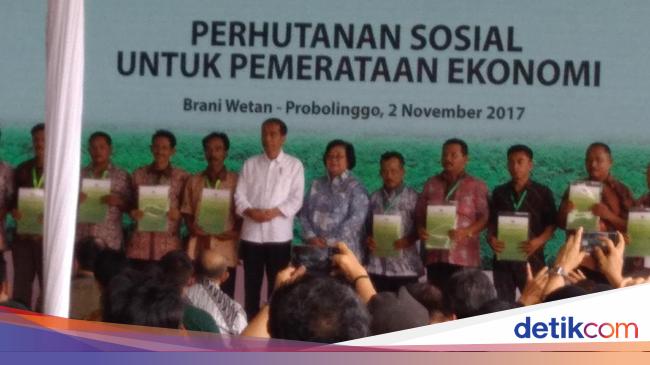 Jokowi Serahkan Sk Pengelolaan Hutan Ke 3 Kelompok Tani Di Jatim