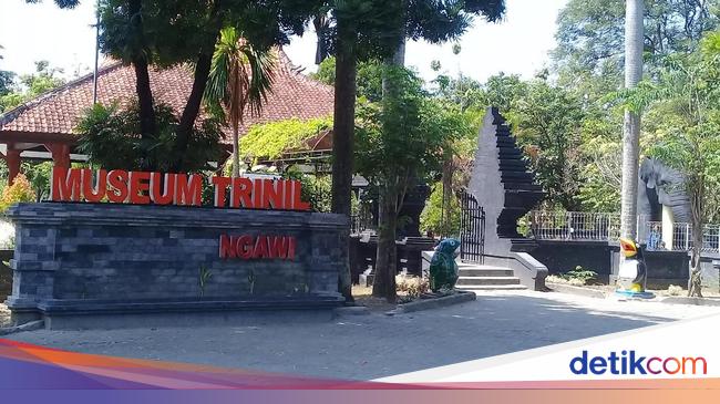 Museum Trinil Ngawi: Info Jam, Harga Tiket hingga Koleksi Fosil Zaman Purba