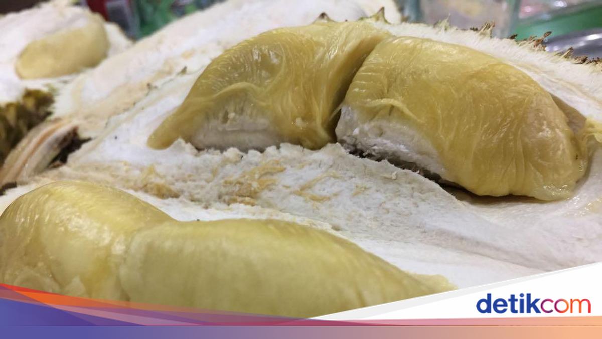 Harum Legit! 5 Jenis Durian Ini Paling Populer di Indonesia