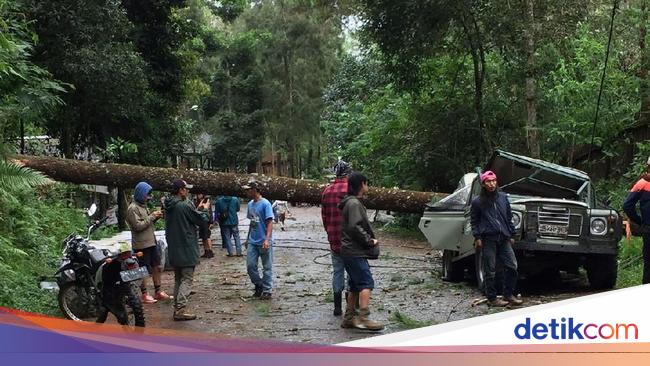 Badai Terjang Lembang Pohon Tumbang Timpa Mobil Dan Bangunan 7403